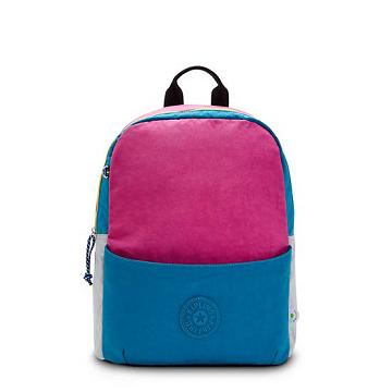 Bolsas Para Portatil Kipling Sonnie 15" Backpack Rosas Azules | MX 1667XY